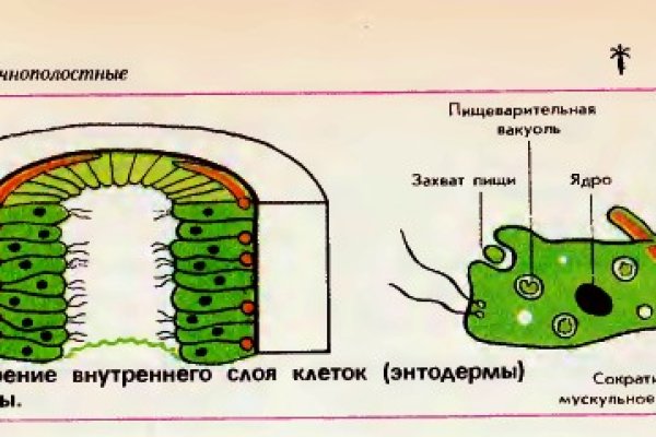 Как зайти на маркетплейс кракен