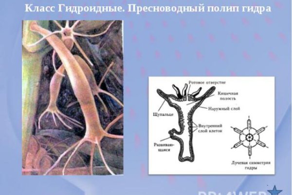 Как восстановить аккаунт кракен