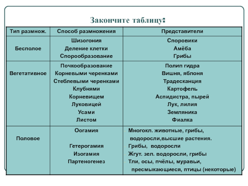 Кракен купить гашиш