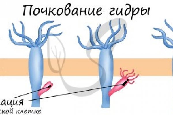 Браузер для кракен